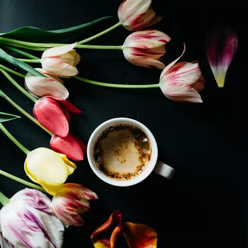 Řezané květiny do kaváren | Le Fleur Design