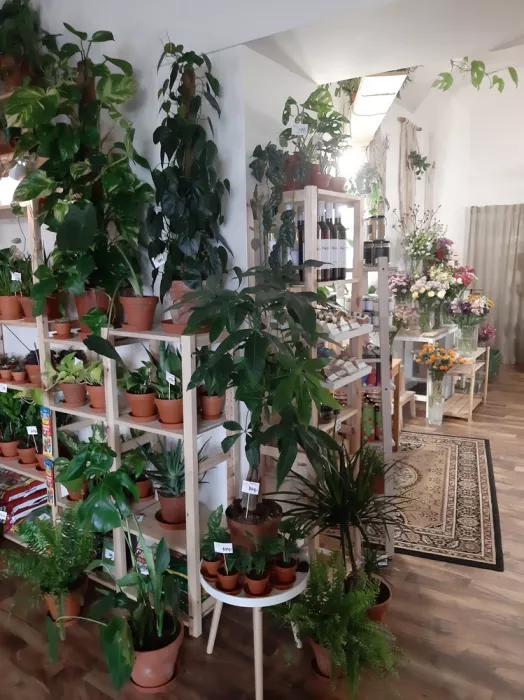 Květinářství Plzeň Roudná | Le Fleur Design