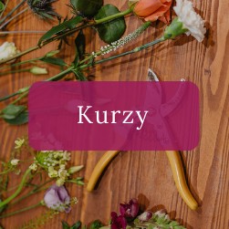 Kurzy